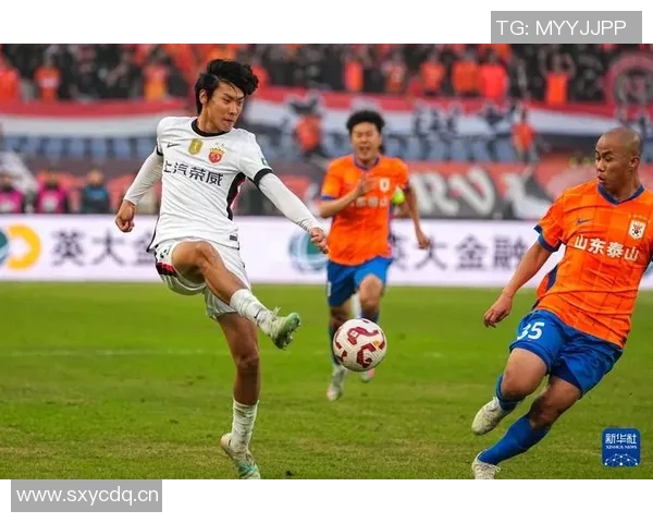 山东泰山中超主场战绩辉煌10胜3平2负强势表现引发关注